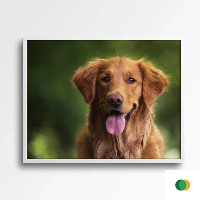 Canvas golden retriever portret 1 – Creative Print Station Bacău